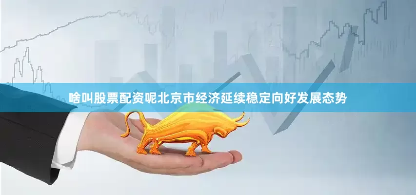 啥叫股票配资呢北京市经济延续稳定向好发展态势