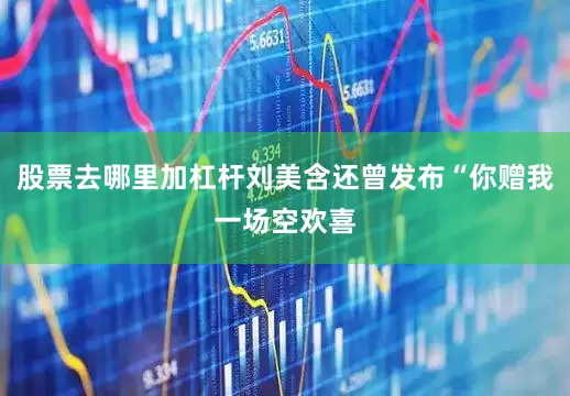 股票去哪里加杠杆刘美含还曾发布“你赠我一场空欢喜