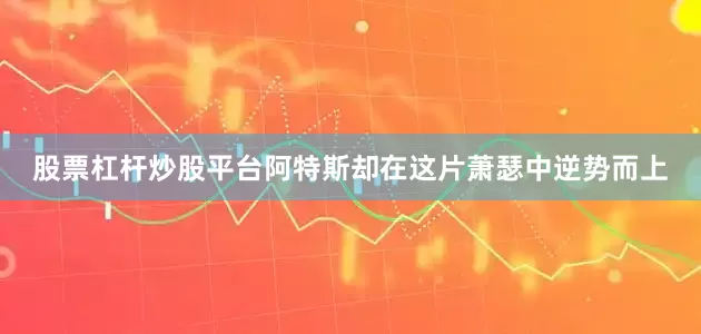 股票杠杆炒股平台阿特斯却在这片萧瑟中逆势而上